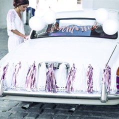 Adornos para coches de boda Madrid - Decoración coches de novios